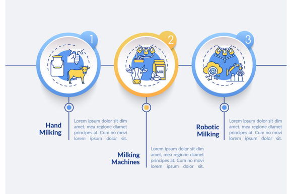 Cow Milking Vector Infographic Template: A Visual Tool for Process Clarity in the Dairy Industry