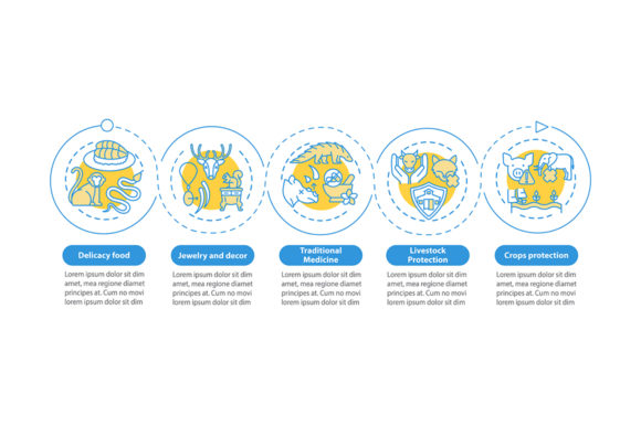 Exotic Animal Cruelty Infographic: A Visual Tool for Advocacy and Awareness