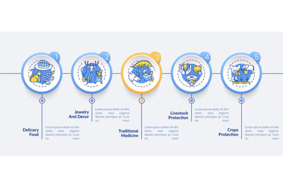 Understanding the Exotic Animal Abuse Vector Infographic: A Visual Tool for Awareness and Action